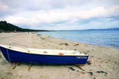 20190316_110939-EFFECTS-scaled