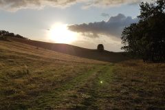 20190917_181959-scaled